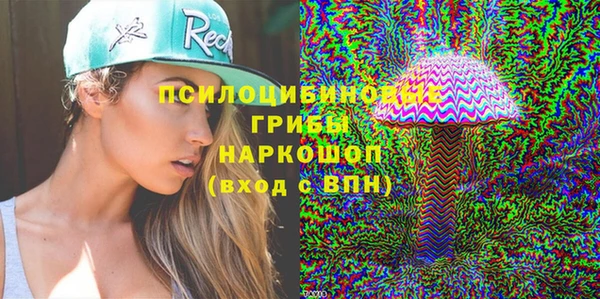 а пвп мука Инсар