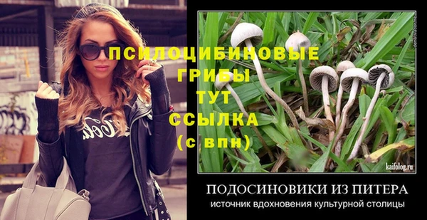 а пвп мука Инсар