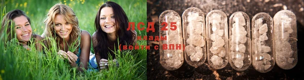 а пвп мука Инсар