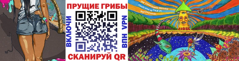 Псилоцибиновые грибы Cubensis  Купить  Подпорожье 